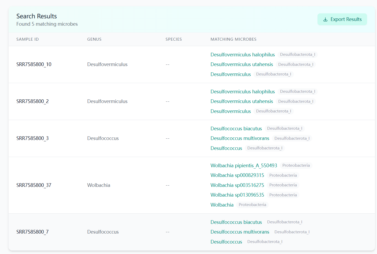 Search Results Interface