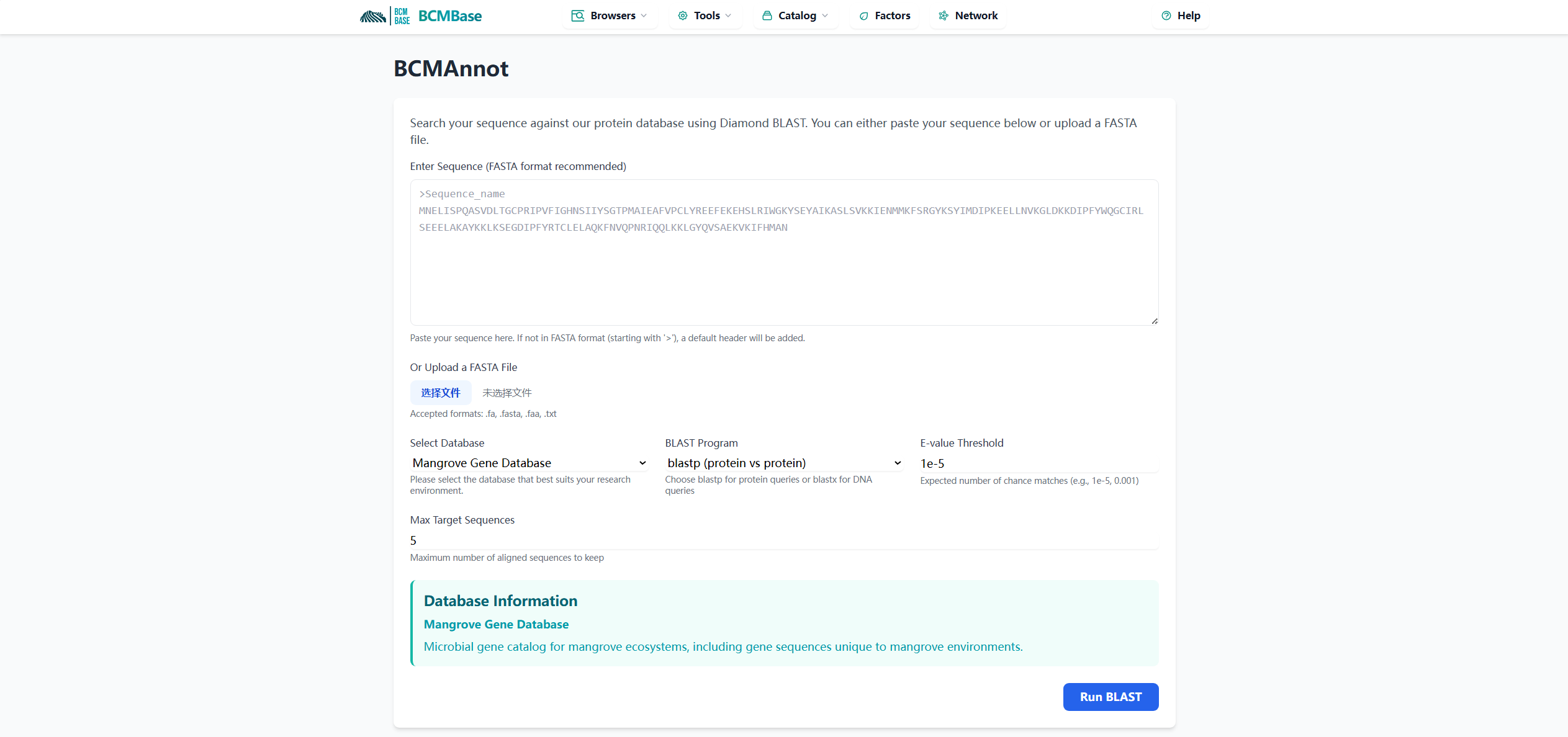 BLAST Search Interface