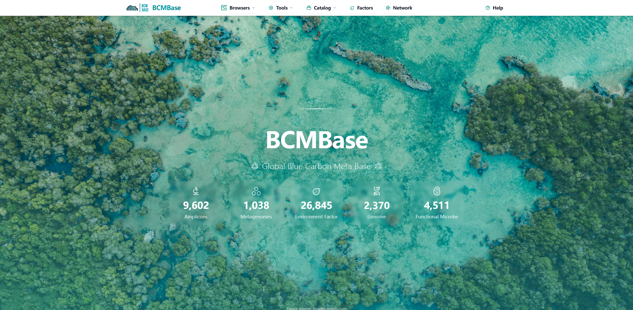 BCMBase Homepage
